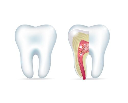 root canal treatment southampton ny